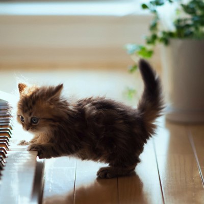 1920 x 1080 HD Wallpapers 1445